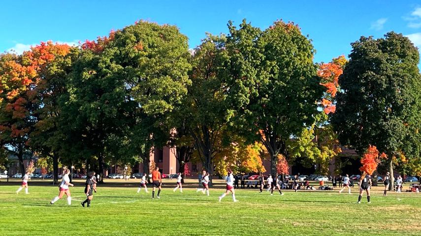 Womens Soccer game on a bright sunny day